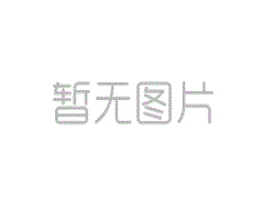 领克09怎么样 2.0T+8AT 仅仅一个亮相就让网友沸腾